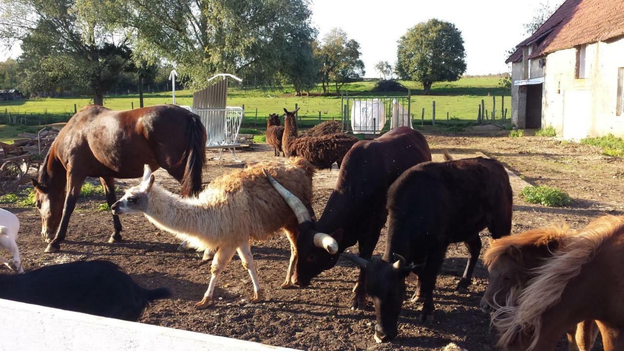 la ferme aux kangourous Donzy Extérieur photo