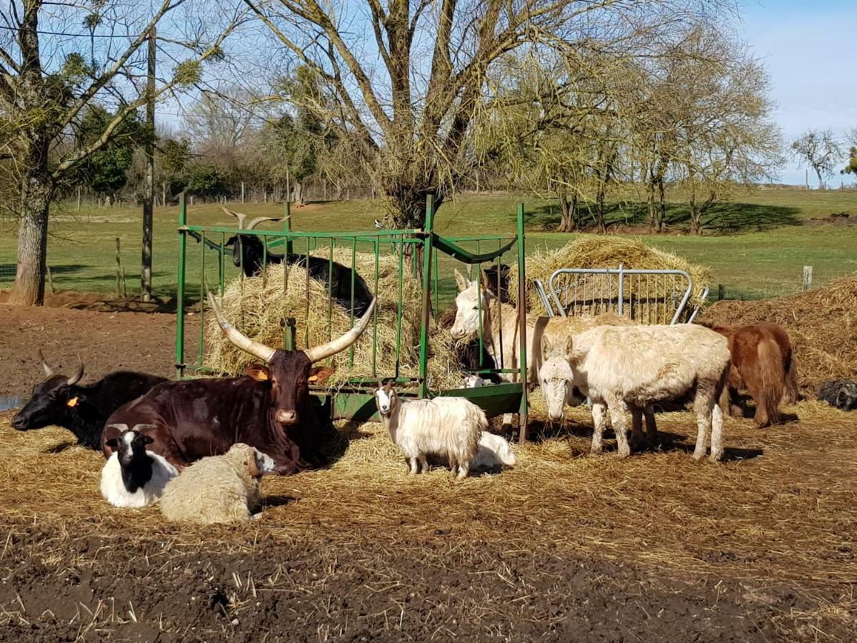 la ferme aux kangourous Donzy Extérieur photo